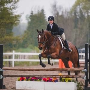 Meet your Posher, Tara